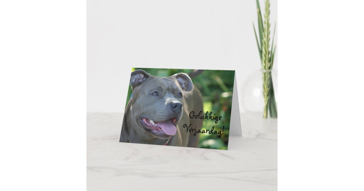 Happy birthday Pitbull dog greeting card | Zazzle