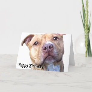Happy Birthday Pitbull greeting card
