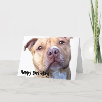 Happy Birthday Pitbull Greeting Card by ritmoboxer at Zazzle