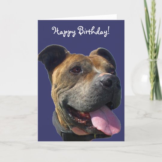 Happy Birthday Pitbull greeting card | Zazzle.com