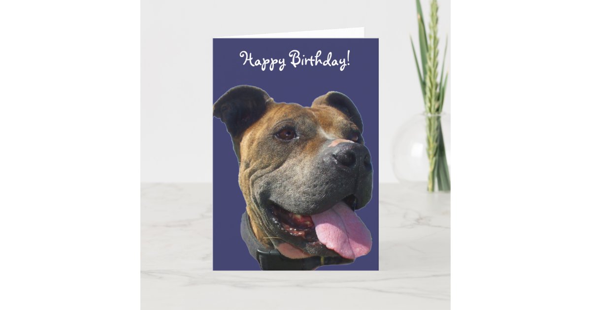 Happy Birthday Pitbull greeting card | Zazzle