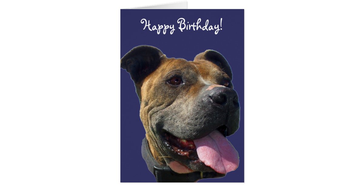 Happy Birthday Pitbull greeting card | Zazzle