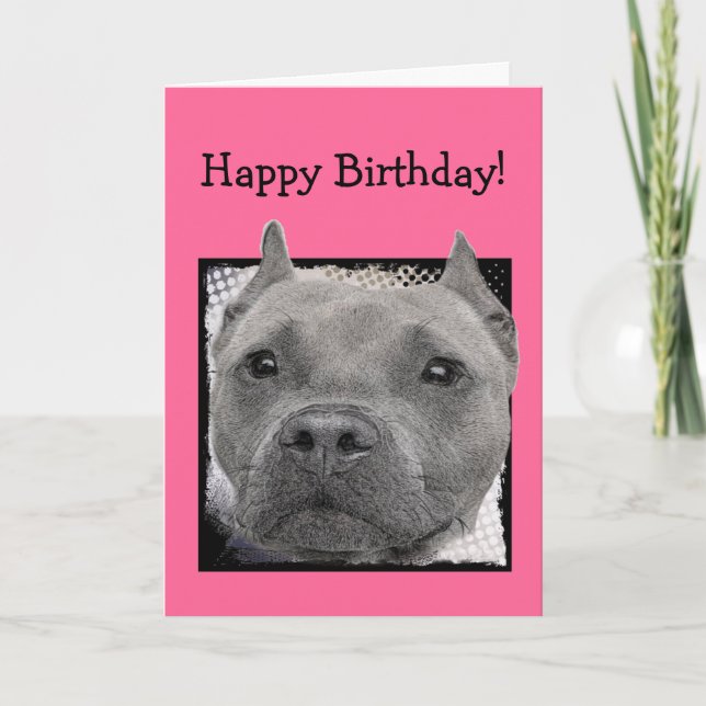 Happy  Birthday Pitbull greeting card (Front)