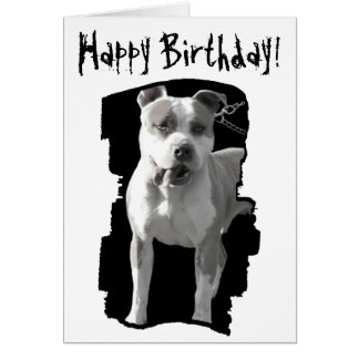 Pitbull Birthday Cards | Zazzle