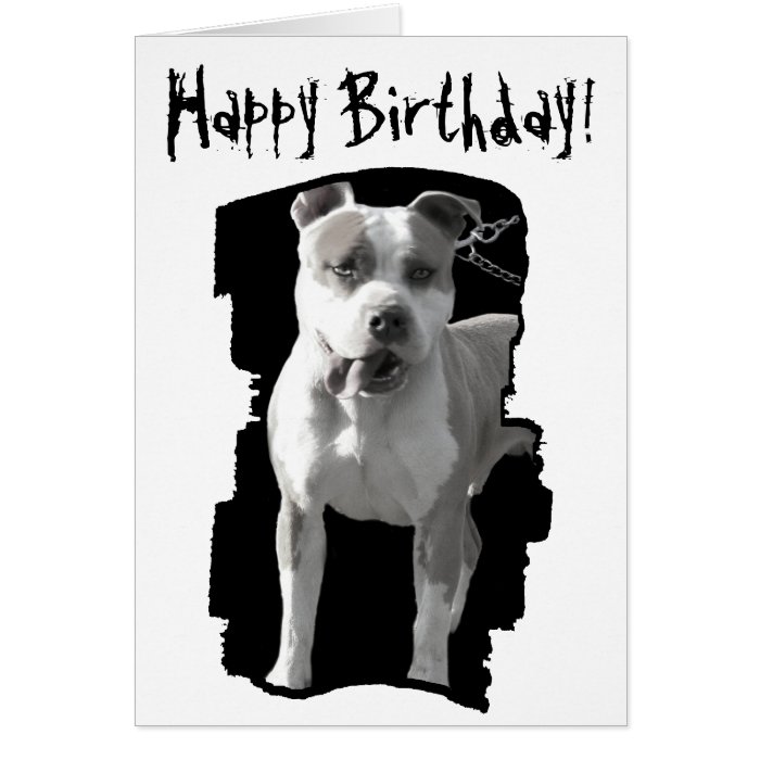 Happy birthday pitbull greeting card