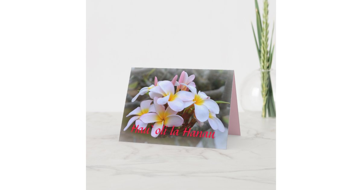 Flower Press Kit  Plumeria Botanical Boutique