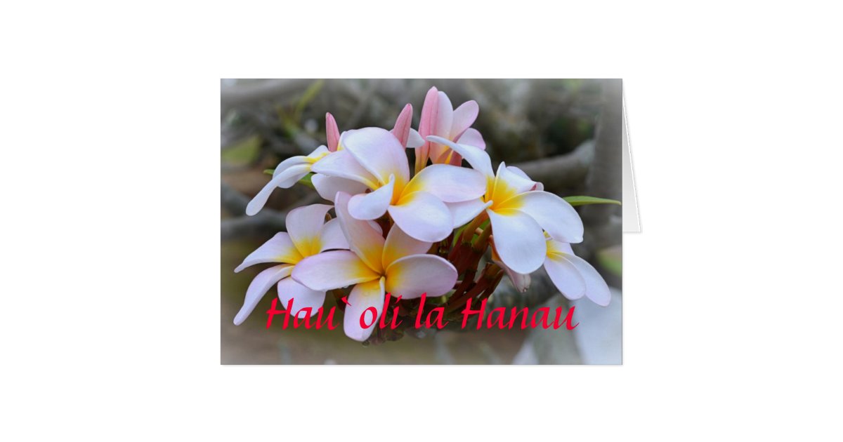 Image Result For Wedding Wishes Hawaiian Image Result For Wedding Wishes Hawaiian