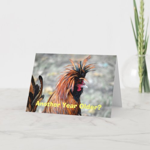 Happy Birthday Polish Crested Rooster Card