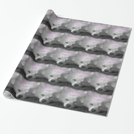 Happy Birthday, Pomeranian Puppy Snoozing Wrapping Paper