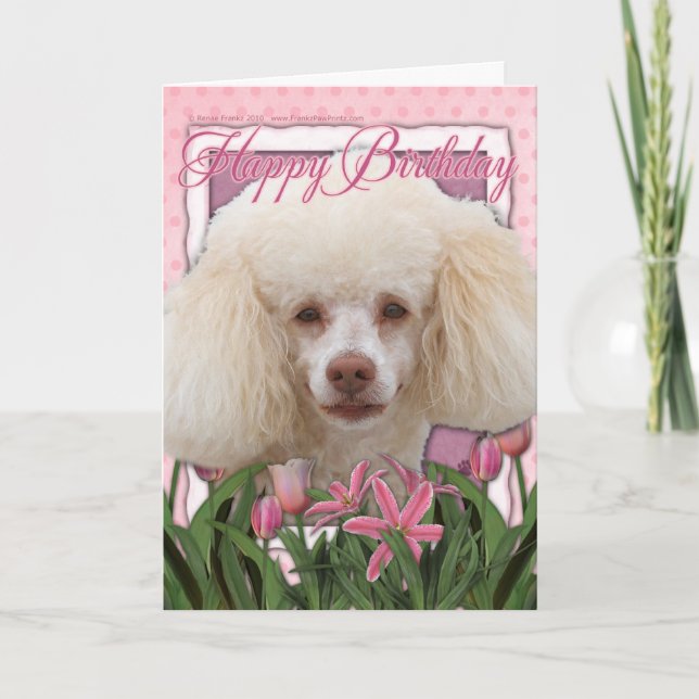 Happy Birthday - Poodle Card (Front)