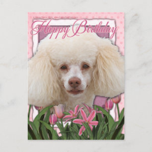 Happy Birthday - Poodle Postcard