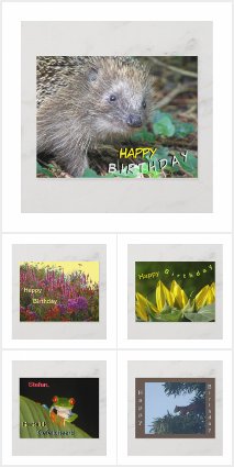 HAPPY BIRTHDAY Post- & Greeting Cards Collection