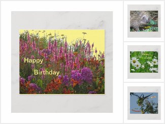 HAPPY BIRTHDAY Post- & Greeting Cards Collection 