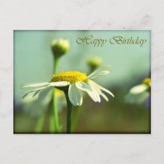 Happy birthday postcard