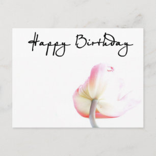 Happy Birthday! Postcard