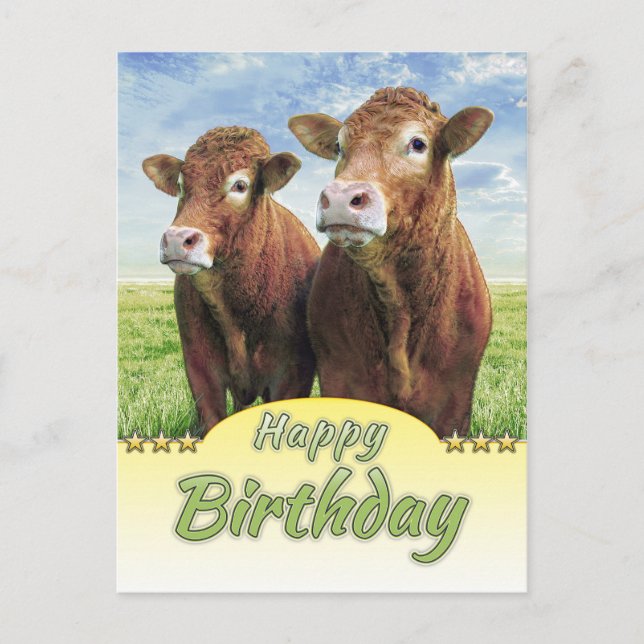 Happy Birthday Postcard (Front)