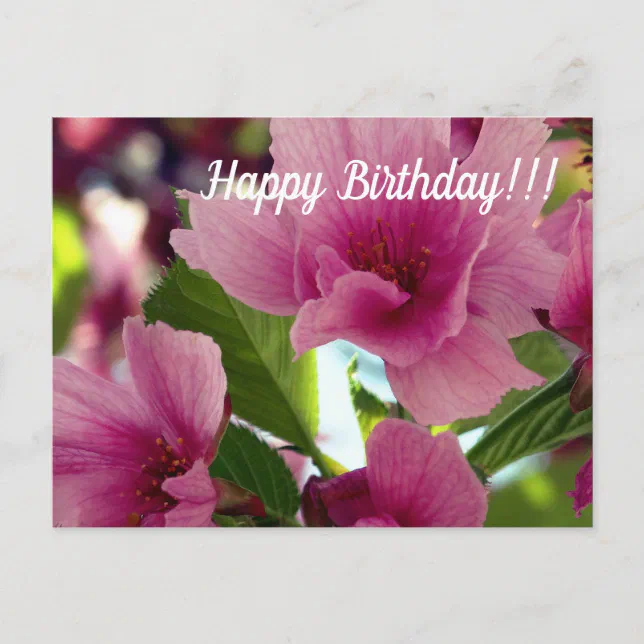 Happy Birthday Postcard | Zazzle