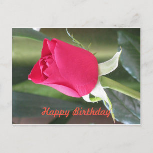 Happy Birthday Postcard