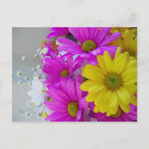 Happy Birthday!!! Postcard