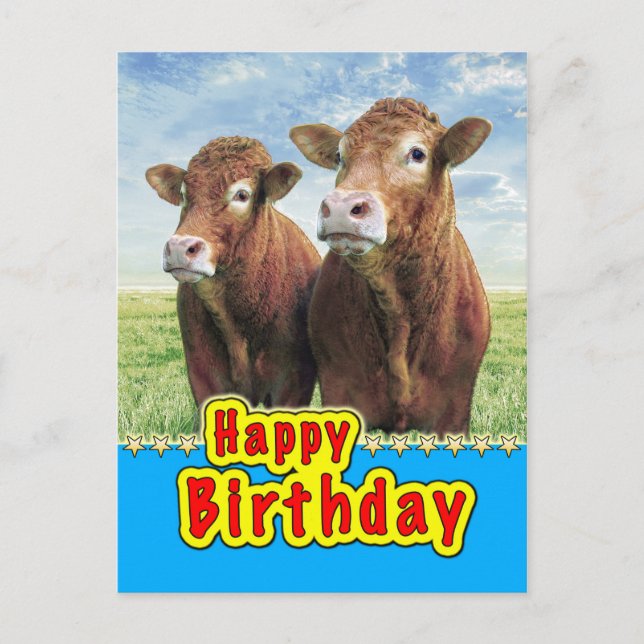 Happy Birthday Postcard (Front)