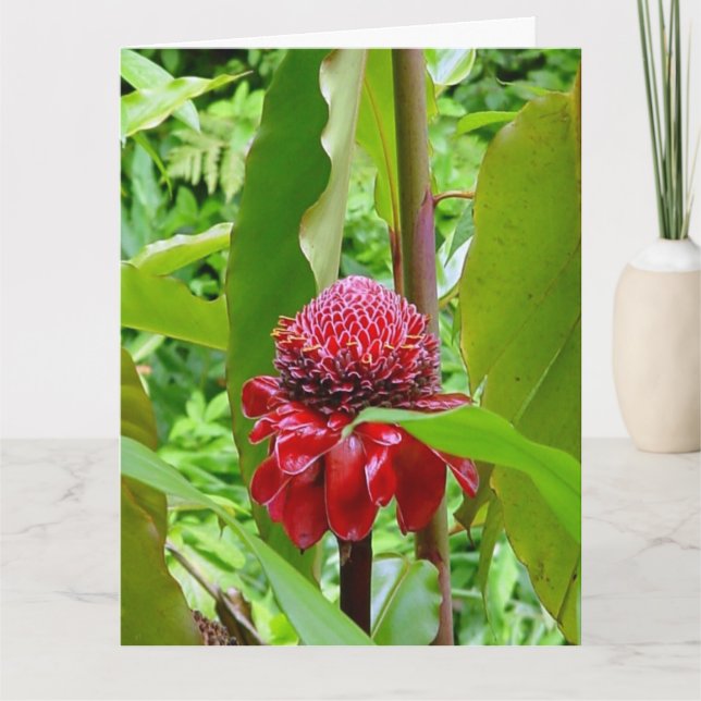 Happy Birthday postcard from Hawaii (Front)