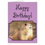 Happy Birthday card Prairie Dog | Zazzle