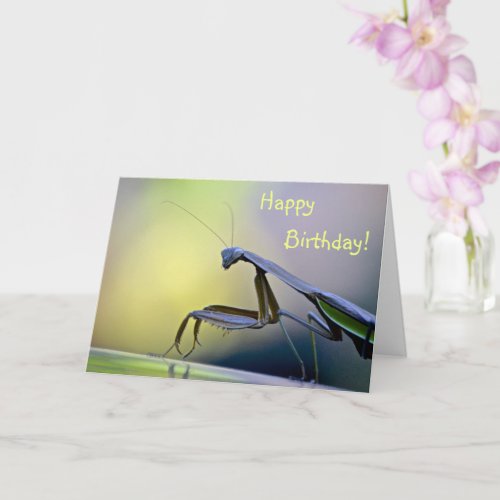 Happy Birthday Praying Mantis Card