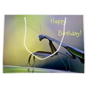 Happy Birthday Praying Mantis Large Gift Bag