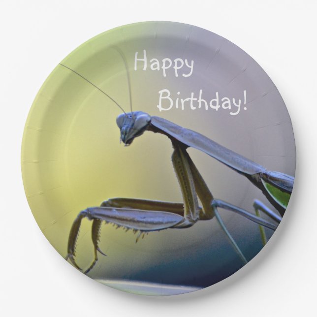 Happy Birthday Praying Mantis Paper Plates (Front)