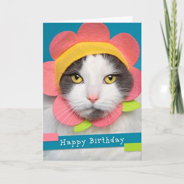 Happy Birthday Pretty Cat in a Flower Hat Humor Holiday Card (Front)