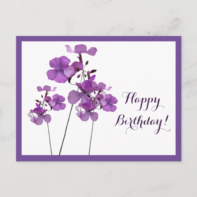Happy Birthday pretty purple simple modern floral  Postcard (Front)
