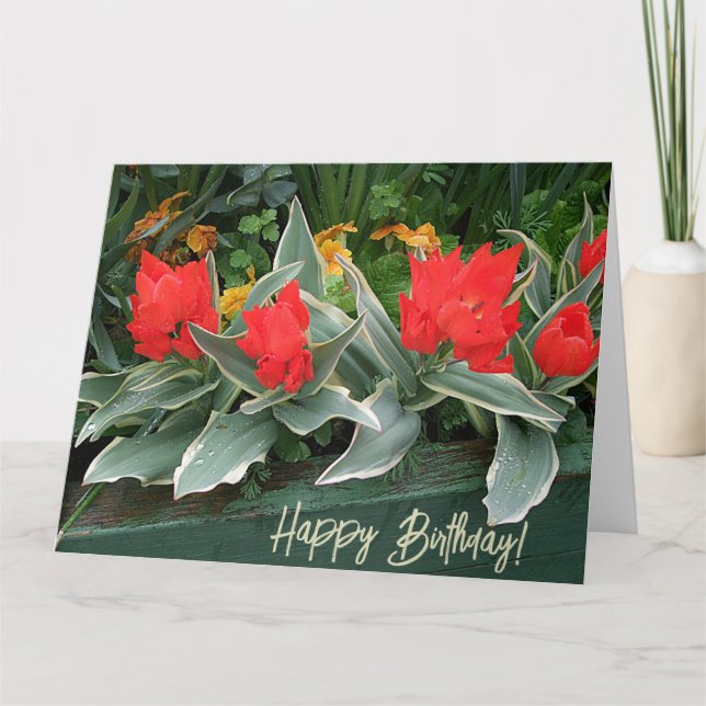 Happy Birthday pretty red tulips green floral  Card (Front)