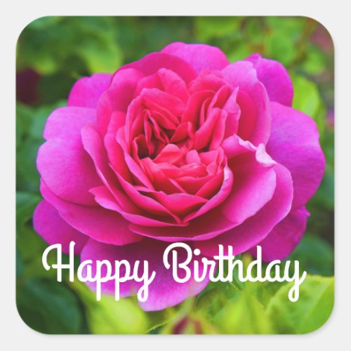 Happy Birthday Princess Anne Rose 1 Stickers