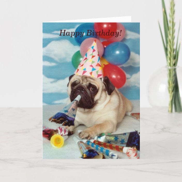 Happy Birthday Pug Card | Zazzle.com