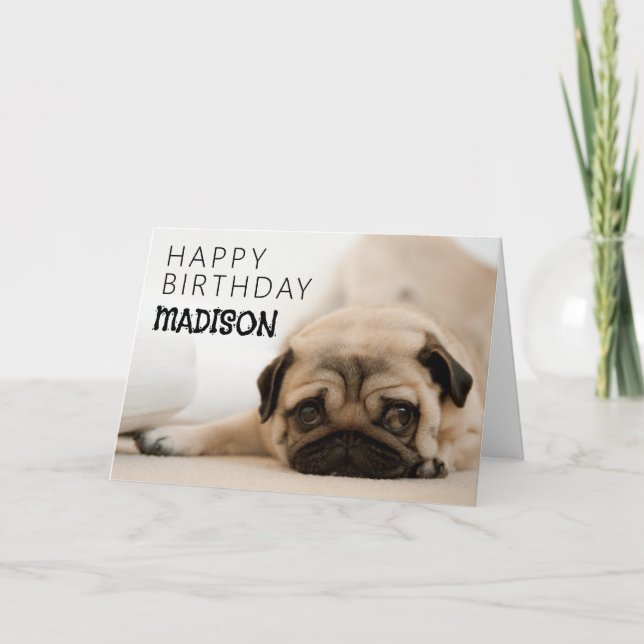 Happy Birthday | Pug Card (Front)