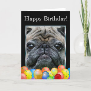 Happy Birthday Pug Dog card