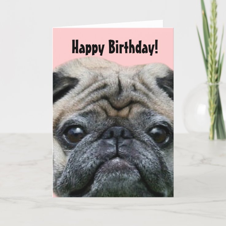 Happy Birthday Pug Dog greeting card | Zazzle