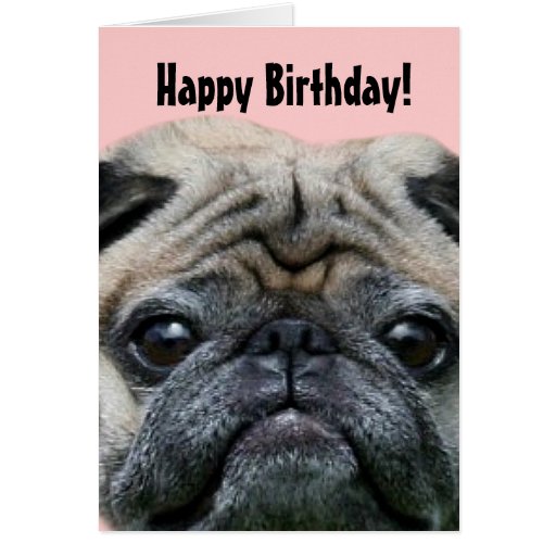 Happy Birthday Pug Dog greeting card | Zazzle