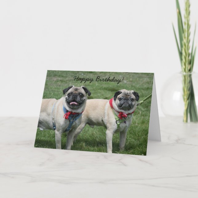 Happy Birthday Pug Greeting Card (Front)