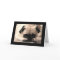 Happy Birthday Pug Puppy Dog Black  Greeting Card