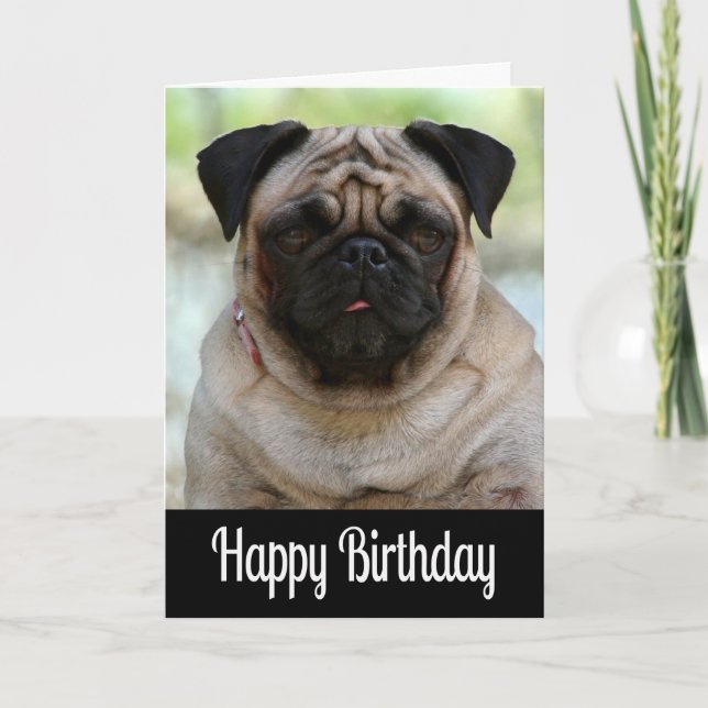 Happy Birthday Pug Puppy Dog Black Greeting Card (Front)