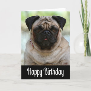 Happy Birthday Pug Puppy Dog Black Greeting Card