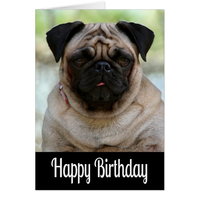 Happy Birthday Pug Puppy Dog Black Greeting Card | Zazzle