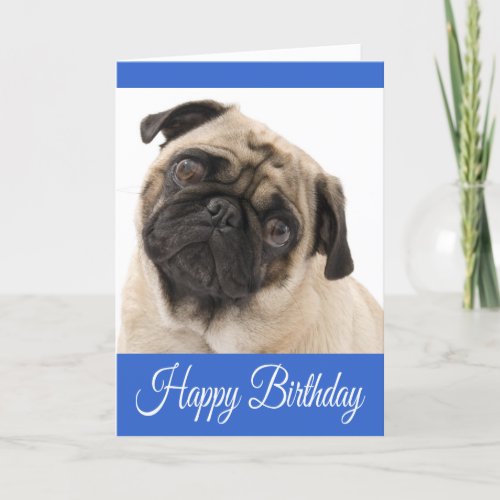 Happy Birthday Pug Puppy Dog Blue Greeting Card