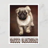 Cute Level 1000 / Cute Pug Puppy / Dog Lover / Dog Person / Pug Lover - Pug  - Posters and Art Prints