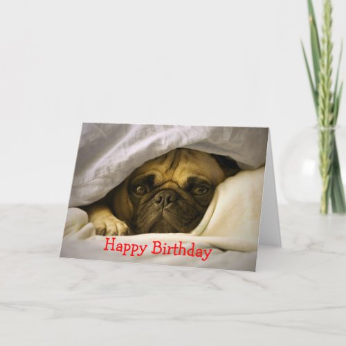 Happy Birthday Pug Puppy Dog Greeting Card