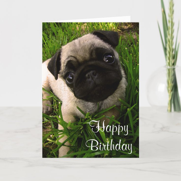 Happy Birthday Pug Puppy Dog Greeting Card | Zazzle