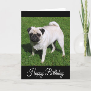Happy Birthday Pug Puppy Dog Greeting Card