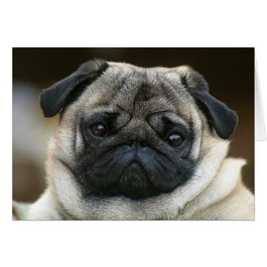 pug template button