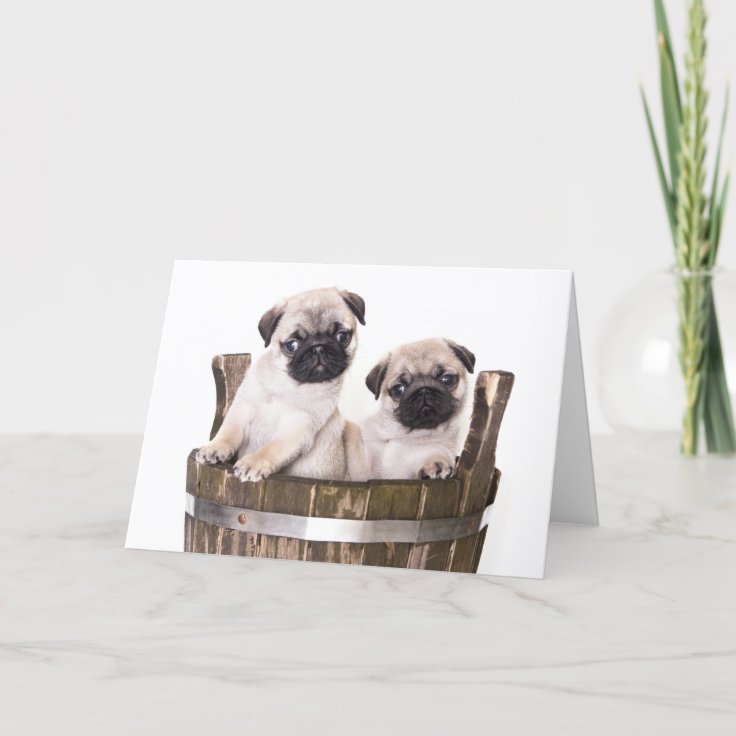 Happy Birthday Pug Puppy Dog Greeting Card - Verse | Zazzle